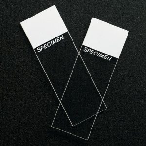 ERIE SCIENTIFIC SP® Superfrost® Microscope Slide 4951F-001T