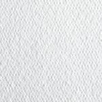 Gallery Thumb