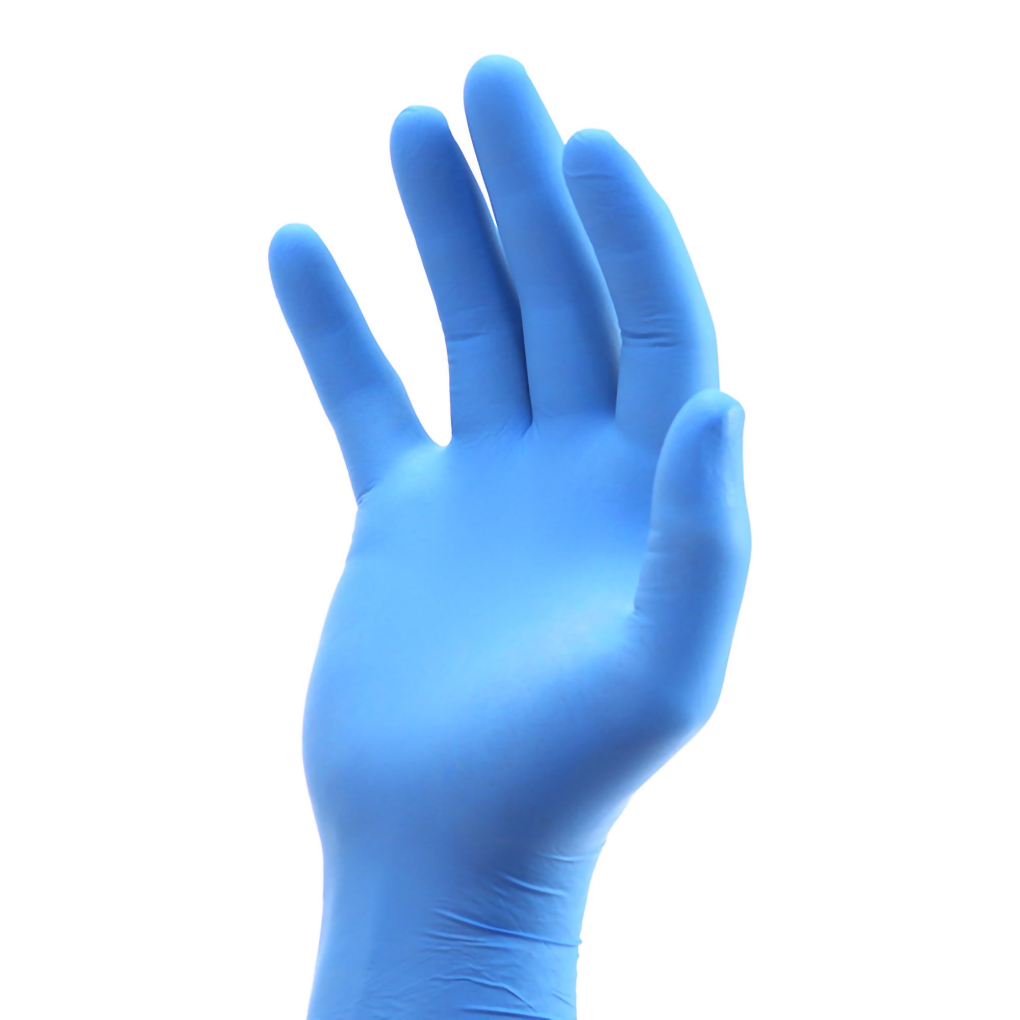 Main Thumb