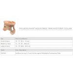 Gallery Thumb