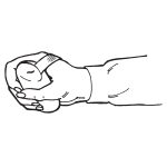 Gallery Thumb