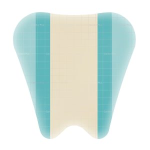 COLOPLAST Comfeel® Plus Ulcer Hydrocolloid Dressing, 7 x 8 Inch Sacral 33285
