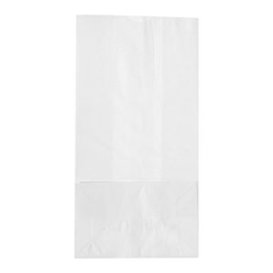 RJ SCHINNER CO Duro® White Paper Bag, 5 x 3.13 x 9.75 Inch 51004