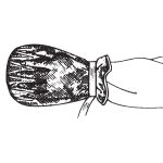 Gallery Thumb