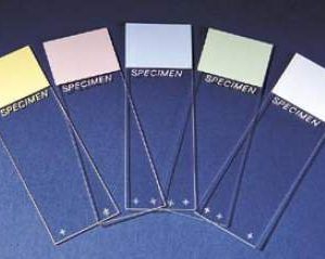 ERIE SCIENTIFIC Superfrost™ Plus Microscope Slide 4951PLUS-001