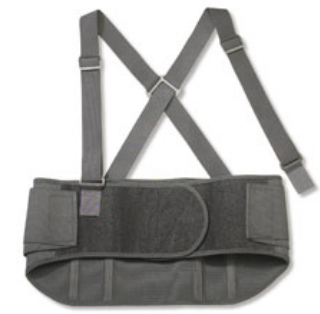 ERGODYNE ProFlex® Standard Back Support, Large 11104