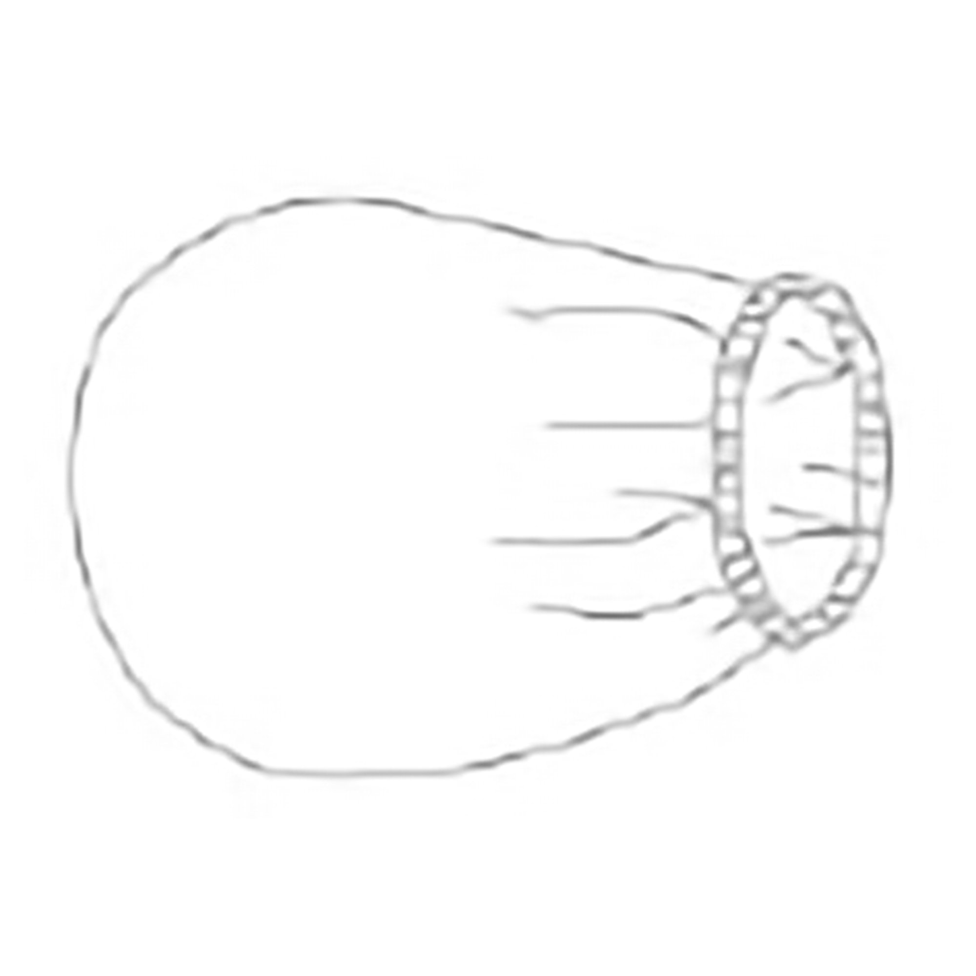 Main Thumb