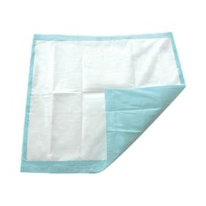 SECURE PERSONAL CARE PRODUCTS TotalDry™ Incontinence Underpads, Light Absorbency, Blue 30 x 30 Inch SP113062